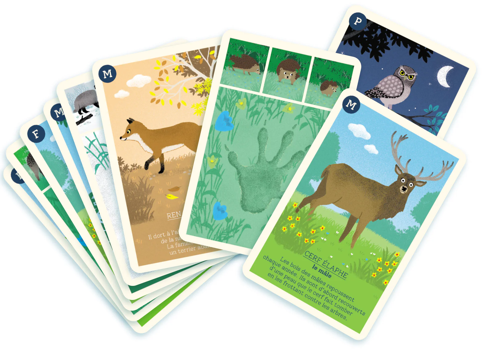 Les familles de la forêt - Image 2