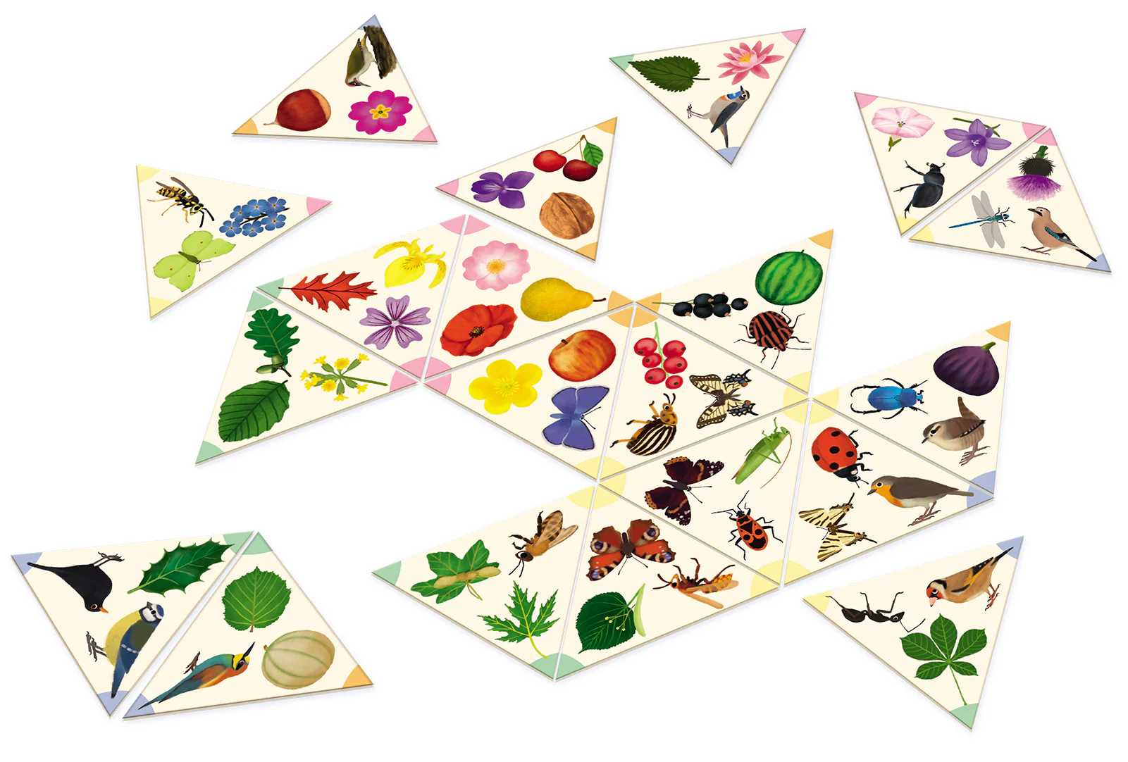 Tridomino du jardin - Image 2