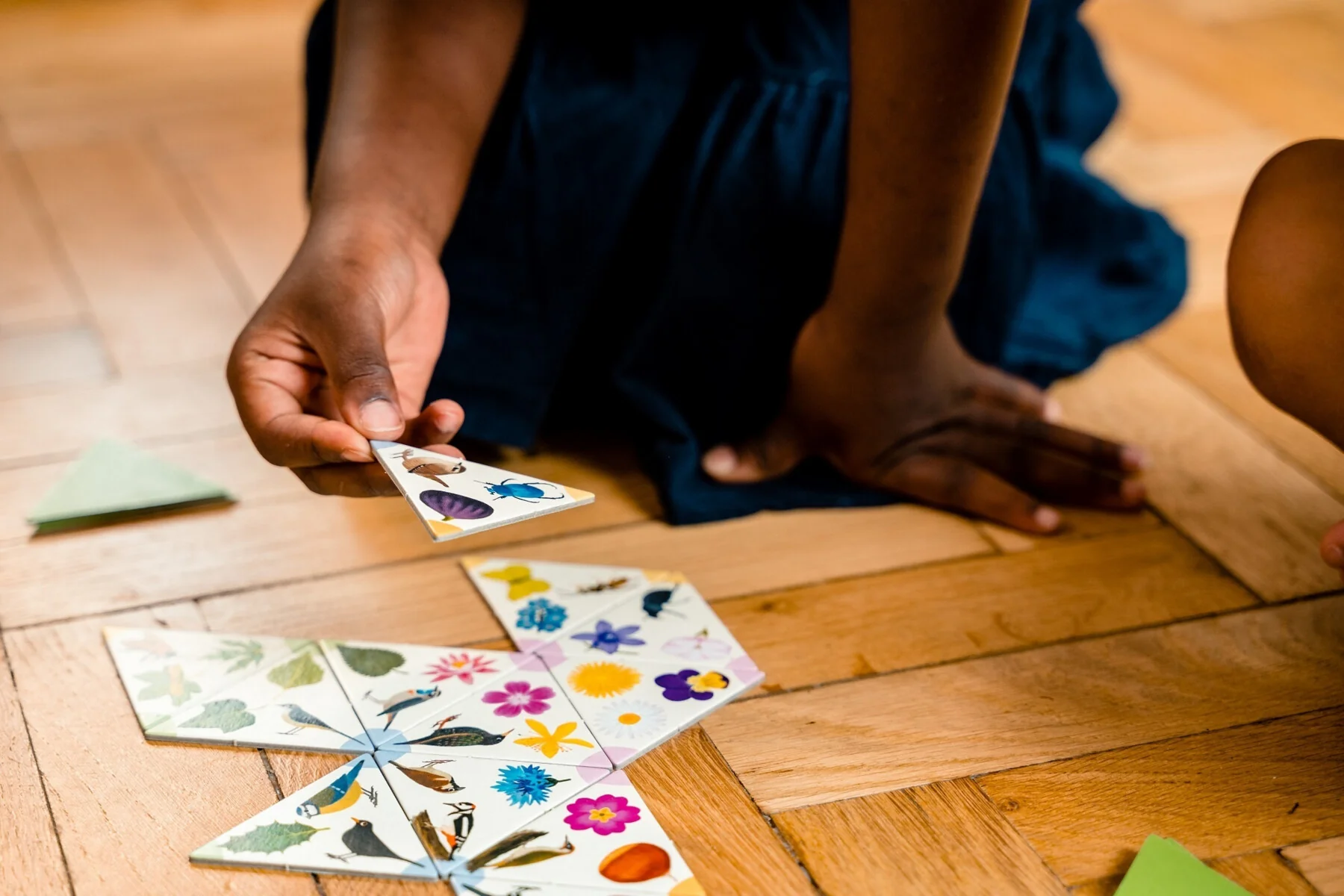 Tridomino du jardin - Image 4